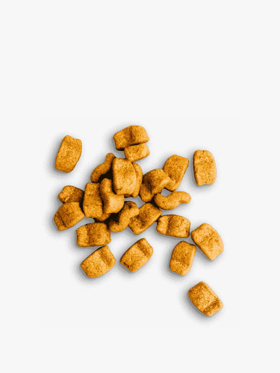 Dry Food for Adult Dogs