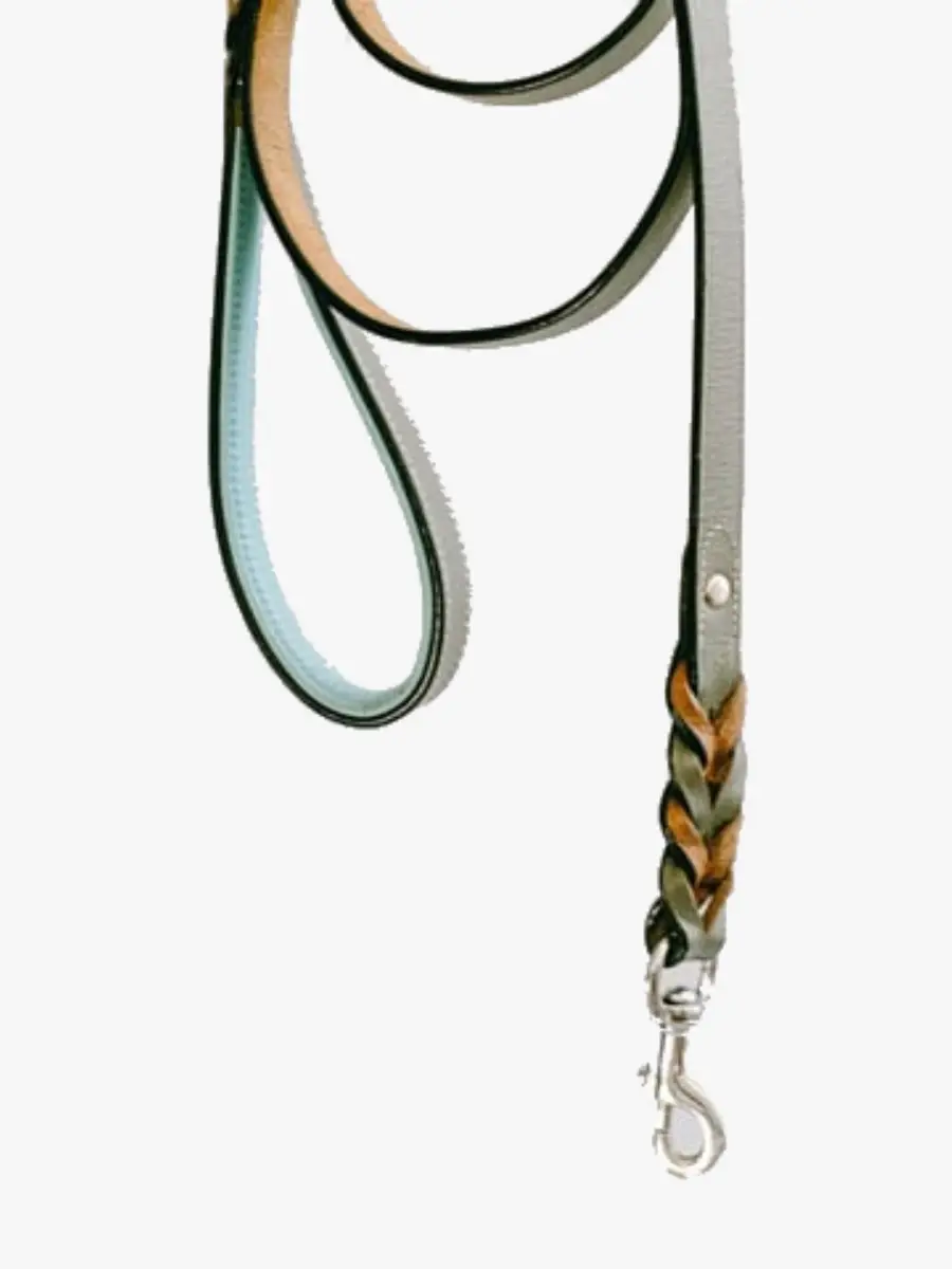 Anti Slip Padded Handle Leash